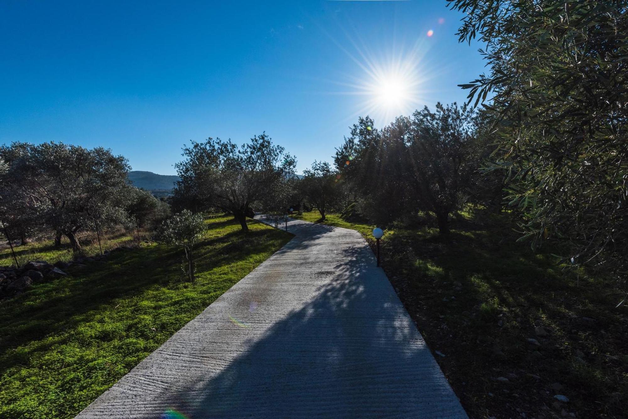 Evgenias Olive House Villa Kalathos Dış mekan fotoğraf